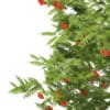3d European Rowan