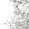 3d European Rowan