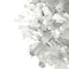 3d European Rowan