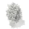 3d European Rowan