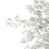 3d European Rowan