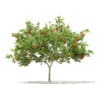 CGAxis Models Volume 67 Trees VII - Image 47