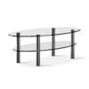 Eliptical Glass Coffee Table
