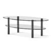 Eliptical Glass Coffee Table