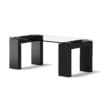 Glass Rectangular Coffee Table