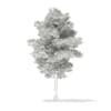 3d Scots Pine Tree