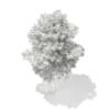 3d Scots Pine Tree
