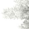 3d Scots Pine Tree