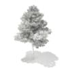 3d Scots Pine Tree