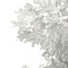 3d Scots Pine Tree