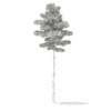 3d Scots Pine Tree