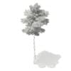 3d Scots Pine Tree