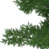 3d Scots Pine Tree
