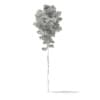 3d Scots Pine Tree