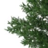 3d Scots Pine Tree