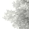 3d Scots Pine Tree