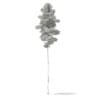 3d Scots Pine Tree