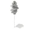 3d Scots Pine Tree