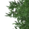 3d Scots Pine Tree