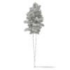 3d Scots Pine Tree