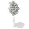 3d Scots Pine Tree