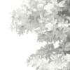 3d Scots Pine Tree