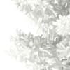 3d Scots Pine Tree