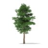 CGAxis Models Volume 69 Trees VIII - Image 3