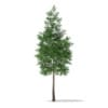 CGAxis Models Volume 69 Trees VIII - Image 11