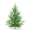CGAxis Models Volume 69 Trees VIII - Image 12