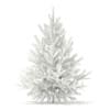 3d Norway Spruce