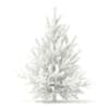 3d Norway Spruce