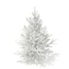 3d Norway Spruce