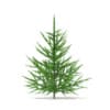 CGAxis Models Volume 69 Trees VIII - Image 13