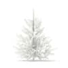 3d Norway Spruce
