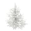 3d Norway Spruce