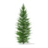 CGAxis Models Volume 69 Trees VIII - Image 14