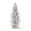 3d Norway Spruce