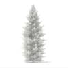 3d Norway Spruce