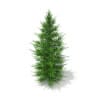 3d Norway Spruce