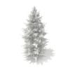 3d Norway Spruce