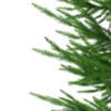 3d Norway Spruce