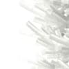 3d Norway Spruce