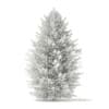 3d Norway Spruce