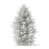 3d Norway Spruce