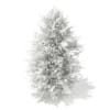 3d Norway Spruce