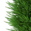 3d Norway Spruce