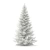 3d Norway Spruce