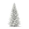 3d Norway Spruce