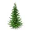 3d Norway Spruce